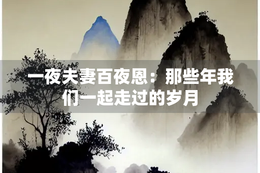 一夜夫妻百夜恩：那些年我们一起走过的岁月