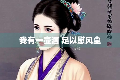 我有一壶酒 足以慰风尘