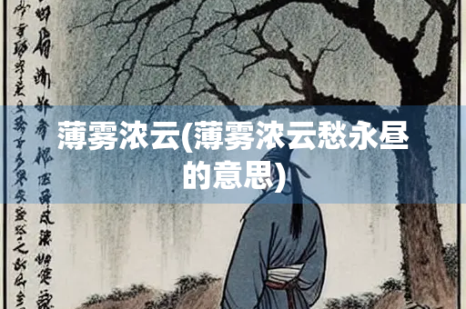 薄雾浓云(薄雾浓云愁永昼的意思)