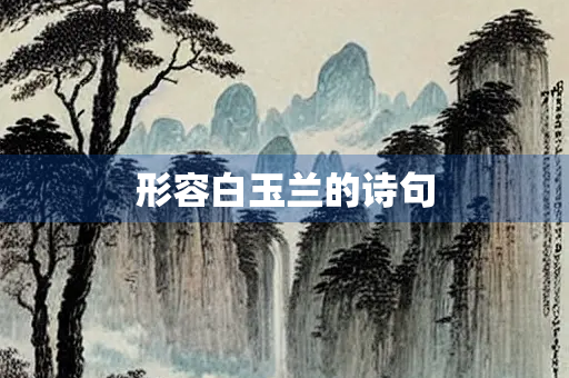 形容白玉兰的诗句