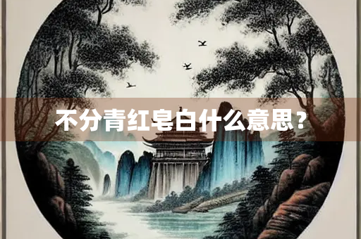 不分青红皂白什么意思？