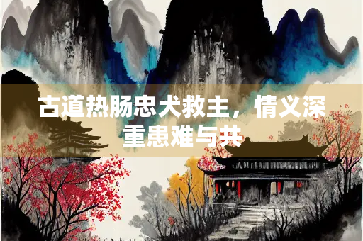 古道热肠忠犬救主，情义深重患难与共
