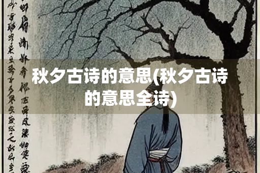 秋夕古诗的意思(秋夕古诗的意思全诗)