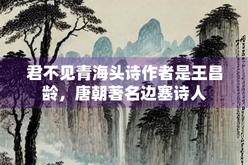 君不见青海头诗作者是王昌龄，唐朝著名边塞诗人