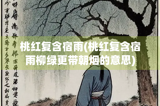 桃红复含宿雨(桃红复含宿雨柳绿更带朝烟的意思)
