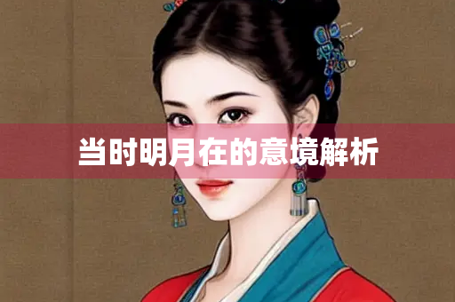 当时明月在的意境解析