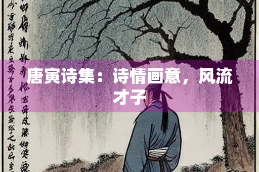 唐寅诗集：诗情画意，风流才子