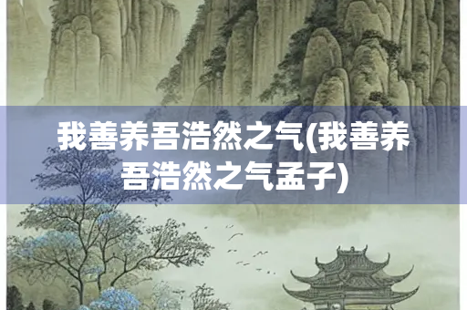 我善养吾浩然之气(我善养吾浩然之气孟子)