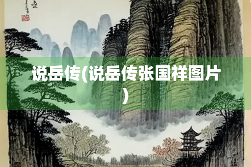 说岳传(说岳传张国祥图片)