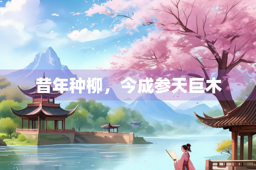 昔年种柳，今成参天巨木
