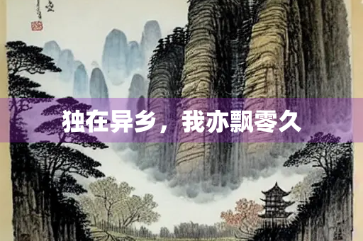 独在异乡，我亦飘零久