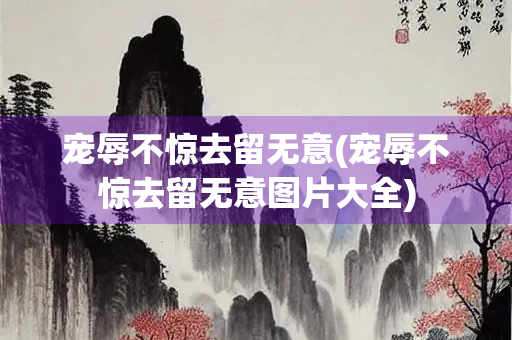 宠辱不惊去留无意(宠辱不惊去留无意图片大全)