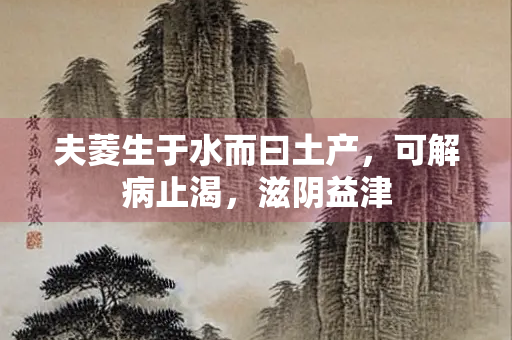 夫菱生于水而曰土产，可解病止渴，滋阴益津