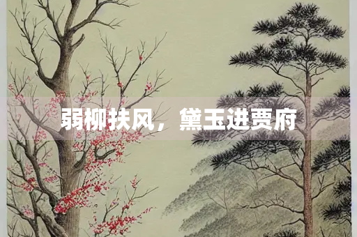 弱柳扶风，黛玉进贾府