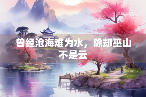 曾经沧海难为水，除却巫山不是云