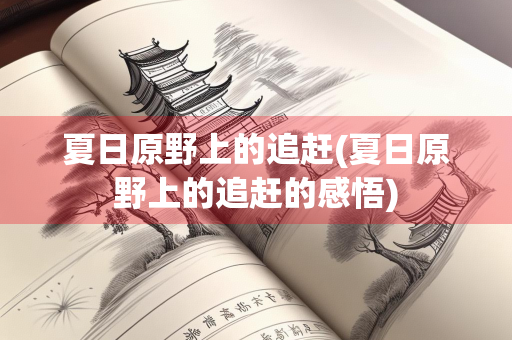 夏日原野上的追赶(夏日原野上的追赶的感悟)