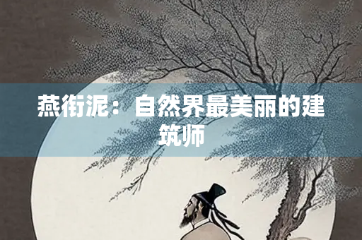 燕衔泥：自然界最美丽的建筑师