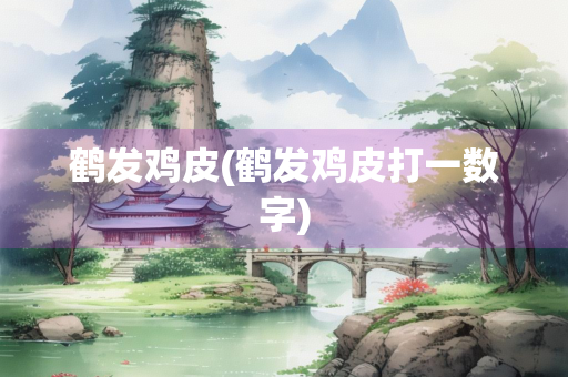 鹤发鸡皮(鹤发鸡皮打一数字)