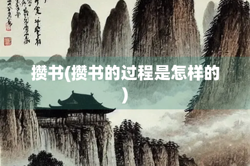 攒书(攒书的过程是怎样的)