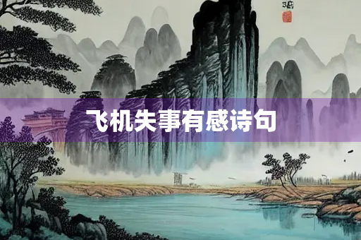 飞机失事有感诗句
