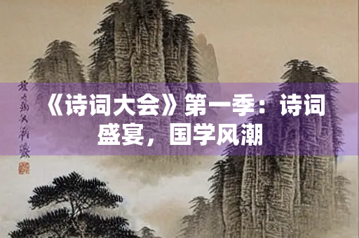 《诗词大会》第一季：诗词盛宴，国学风潮