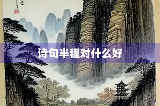 诗句半程对什么好
