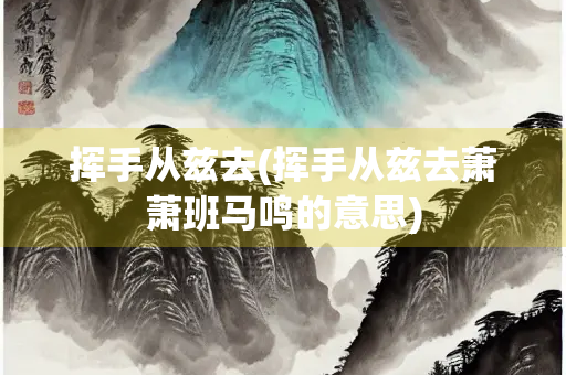 挥手从兹去(挥手从兹去萧萧班马鸣的意思)