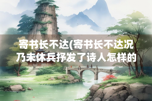 寄书长不达(寄书长不达况乃未休兵抒发了诗人怎样的情感)