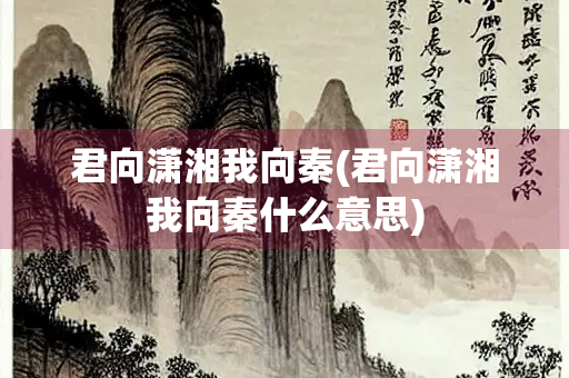 君向潇湘我向秦(君向潇湘我向秦什么意思)