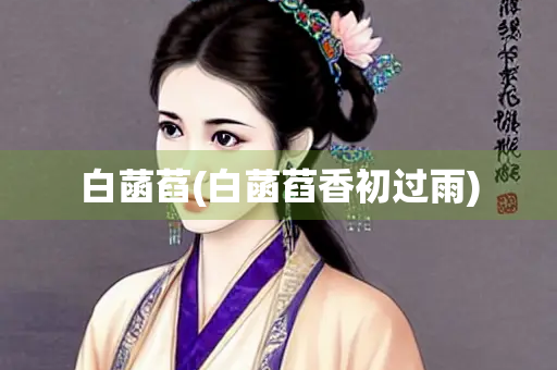 白菡萏(白菡萏香初过雨)