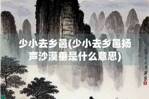 少小去乡邑(少小去乡邑扬声沙漠垂是什么意思)