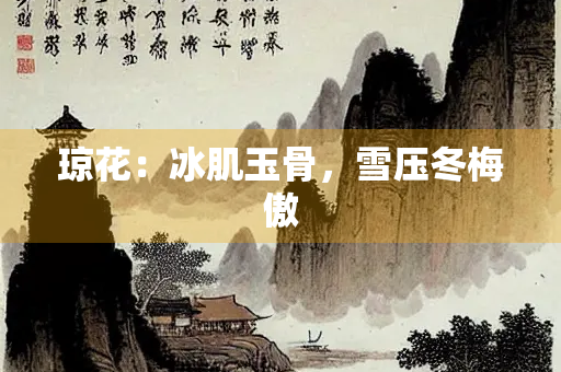 琼花：冰肌玉骨，雪压冬梅傲