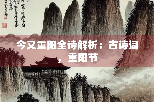 今又重阳全诗解析：古诗词，重阳节