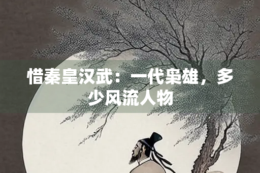 惜秦皇汉武：一代枭雄，多少风流人物