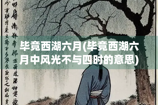 毕竟西湖六月(毕竟西湖六月中风光不与四时的意思)
