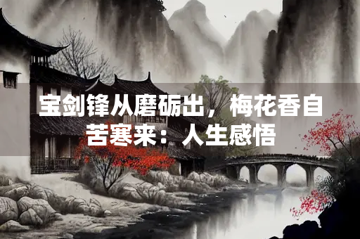 宝剑锋从磨砺出，梅花香自苦寒来：人生感悟