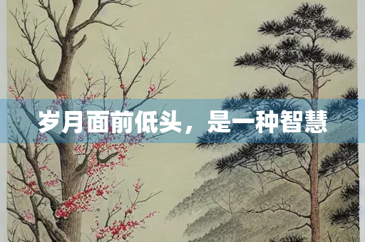 岁月面前低头，是一种智慧