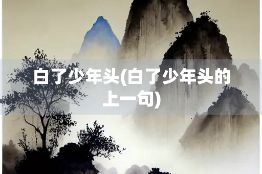 白了少年头(白了少年头的上一句)