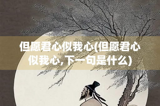 但愿君心似我心(但愿君心似我心,下一句是什么)