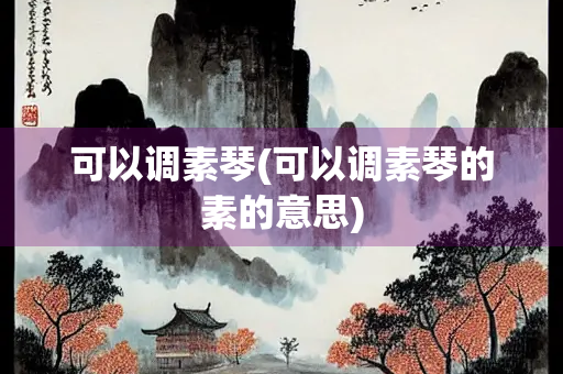 可以调素琴(可以调素琴的素的意思)