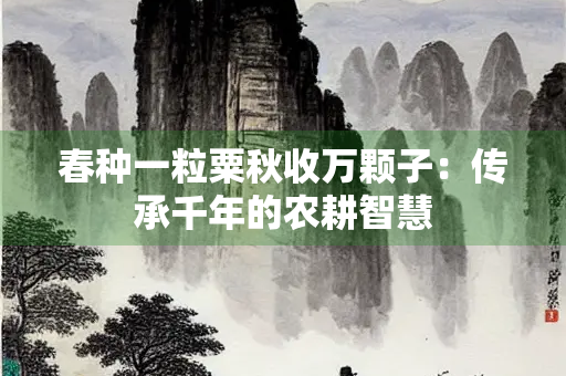 春种一粒粟秋收万颗子：传承千年的农耕智慧