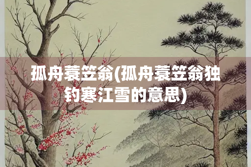 孤舟蓑笠翁(孤舟蓑笠翁独钓寒江雪的意思)