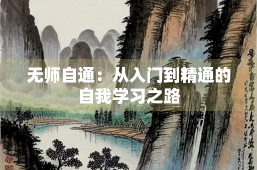 无师自通：从入门到精通的自我学习之路