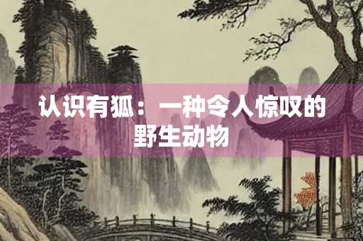认识有狐：一种令人惊叹的野生动物