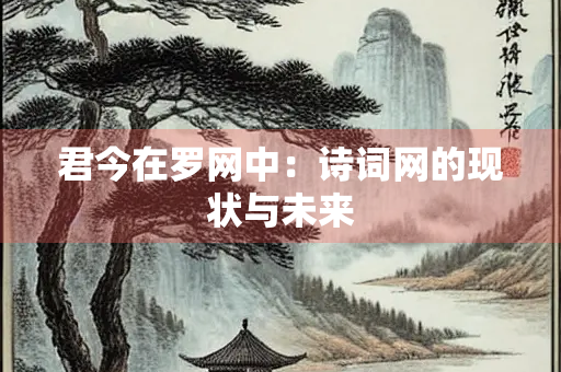 君今在罗网中：诗词网的现状与未来