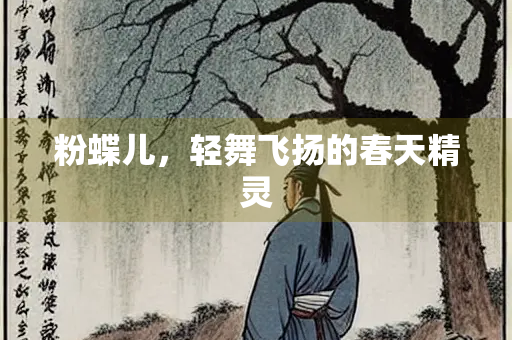 粉蝶儿，轻舞飞扬的春天精灵
