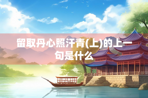 留取丹心照汗青(上)的上一句是什么