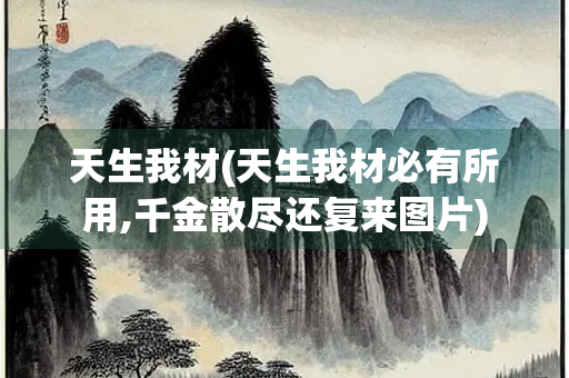 天生我材(天生我材必有所用,千金散尽还复来图片)