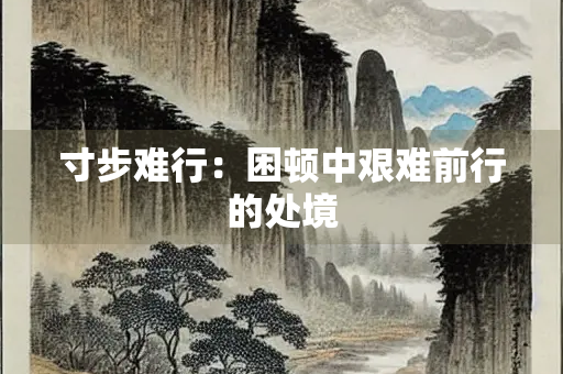 寸步难行：困顿中艰难前行的处境