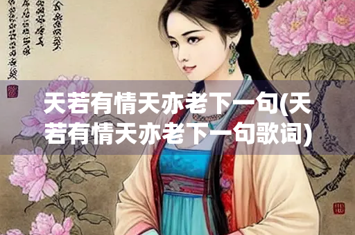 天若有情天亦老下一句(天若有情天亦老下一句歌词)